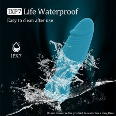 3.94 Inch 11-Mode Waterproof Rechargeable Blue Mini Silicone Dildo Vibrator with Realistic Texture