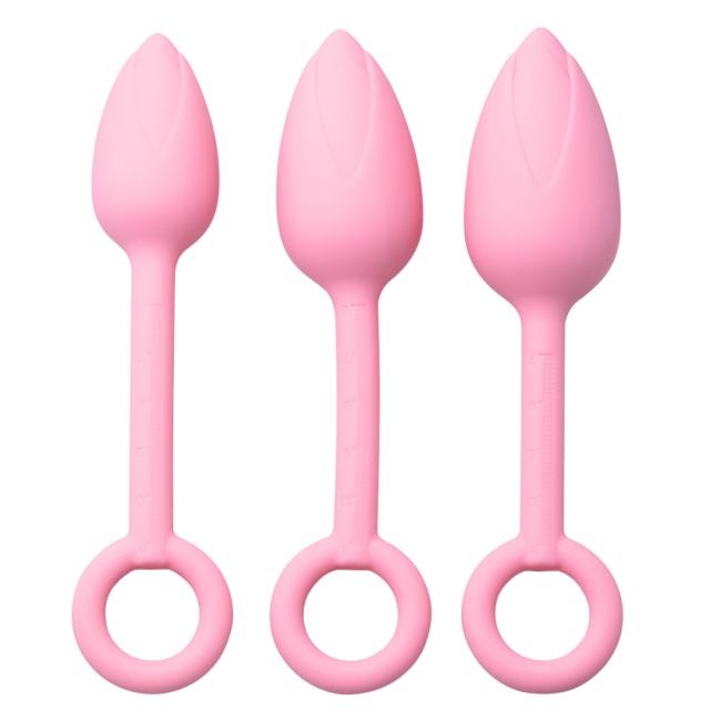 Pink Silicone Anal Plug Training Set (3 Sizes) with Ring Pull Handle and Tapered Tulip Head