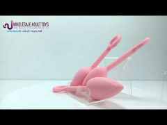 Pink Silicone Anal Plug Training Set (3 Sizes) with Ring Pull Handle and Tapered Tulip Head