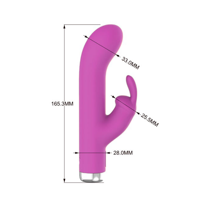 6.7'' Purple Silicone Rabbit Vibrator – 10 Vibration Modes, Dual Motors, USB Rechargeable, Waterproof