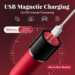 3.51'' Black & Red Lipstick Vibrator – 10 Modes, Magnetic USB Rechargeable, Waterproof, 3 Silicone Heads