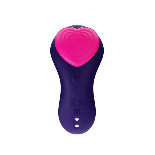 Purple Silicone 9-Mode Vibrating Panty with Heart Texture & Remote Control – USB Magnetic Rechargeable Waterproof Design