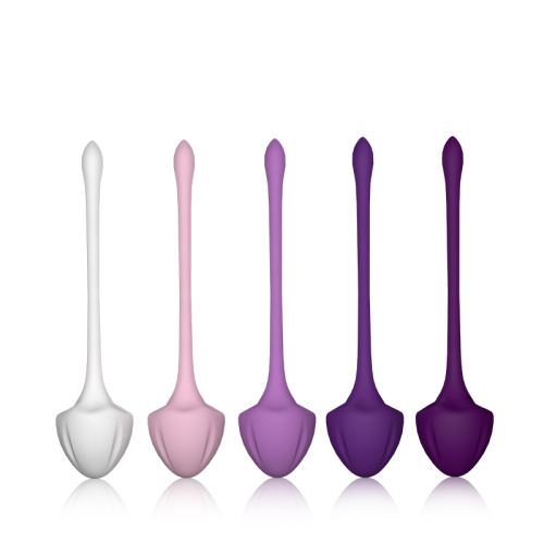5-Piece Medical Silicone Ben Wa Balls Set – Kegel Training Pelvic Exercise Balls