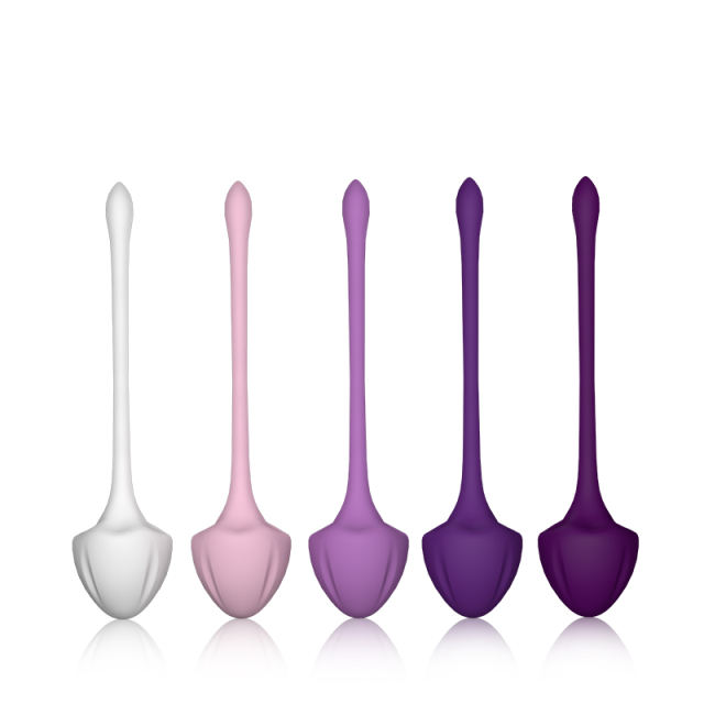 5-Piece Medical Silicone Ben Wa Balls Set – Kegel Training Pelvic Exercise Balls