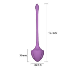 5-Piece Medical Silicone Ben Wa Balls Set – Kegel Training Pelvic Exercise Balls