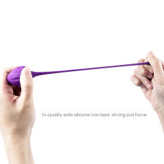 5-Piece Medical Silicone Ben Wa Balls Set – Kegel Training Pelvic Exercise Balls