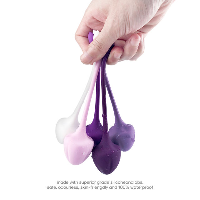 5-Piece Medical Silicone Ben Wa Balls Set – Kegel Training Pelvic Exercise Balls