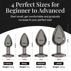 4-Piece Gunmetal Metal Butt Plug Set with Magenta Gem Base