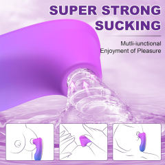 4.85" Purple & Blue Rechargeable Waterproof Silicone Sucking Massager – 10-Mode