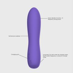 5.40" Purple Rechargeable Silicone G-Spot Vibrator – 10 Vibrating Modes Slim Precision Design