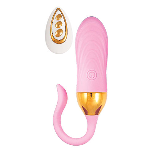 10 Vibrating Modes Pink Rechargeable Silicone Remote Control Vibrating Egg