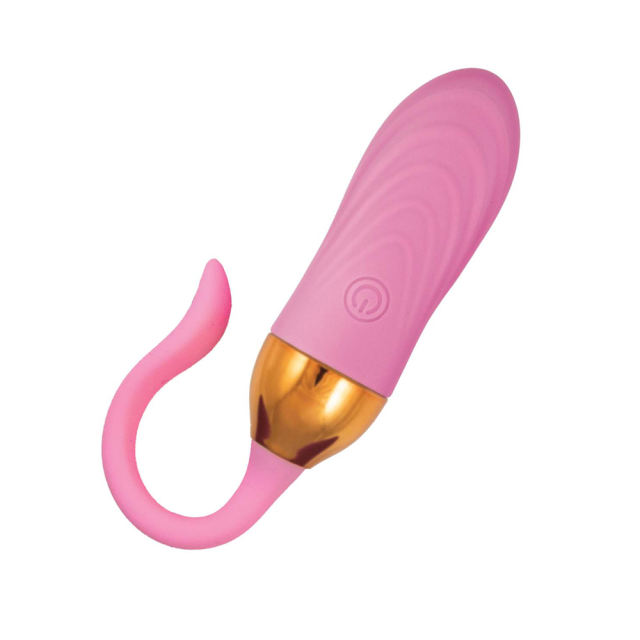 10 Vibrating Modes Pink Rechargeable Silicone Remote Control Vibrating Egg