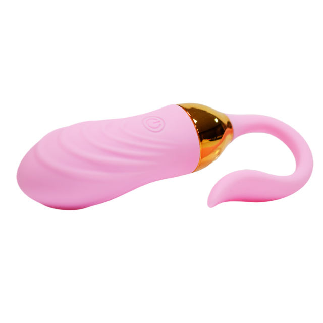 10 Vibrating Modes Pink Rechargeable Silicone Remote Control Vibrating Egg