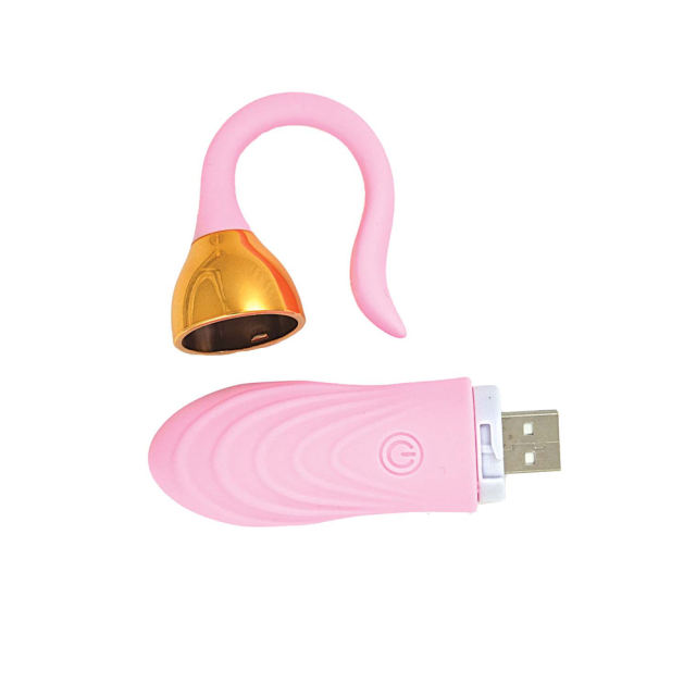 10 Vibrating Modes Pink Rechargeable Silicone Remote Control Vibrating Egg