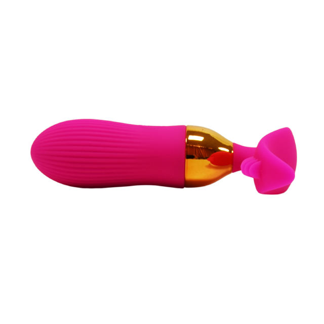 10 Vibrating Modes Magenta Rechargeable Silicone Remote Control Vibrating Egg