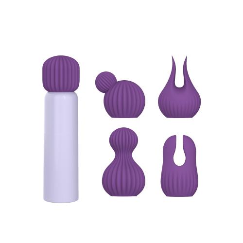 3.55" Purple Rechargeable Silicone Clitoral Vibrator – 10 Vibrating Modes with 5 Interchangeable Heads