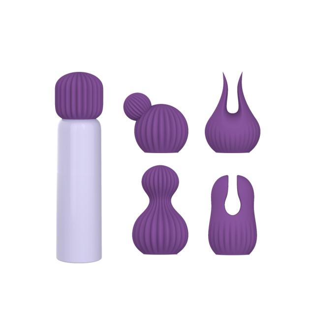 3.55" Purple Rechargeable Silicone Clitoral Vibrator – 10 Vibrating Modes with 5 Interchangeable Heads