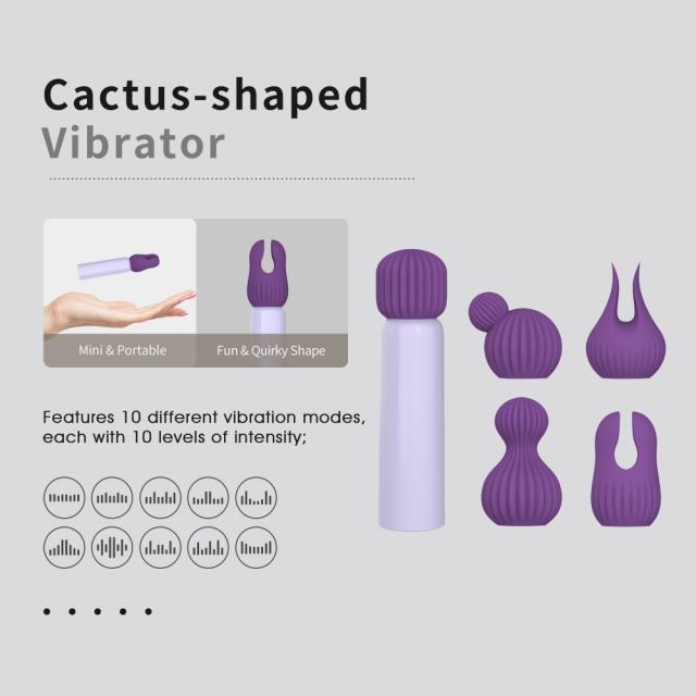 3.55" Purple Rechargeable Silicone Clitoral Vibrator – 10 Vibrating Modes with 5 Interchangeable Heads