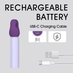 3.55" Purple Rechargeable Silicone Clitoral Vibrator – 10 Vibrating Modes with 5 Interchangeable Heads