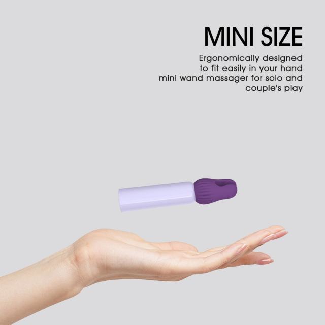3.55" Purple Rechargeable Silicone Clitoral Vibrator – 10 Vibrating Modes with 5 Interchangeable Heads