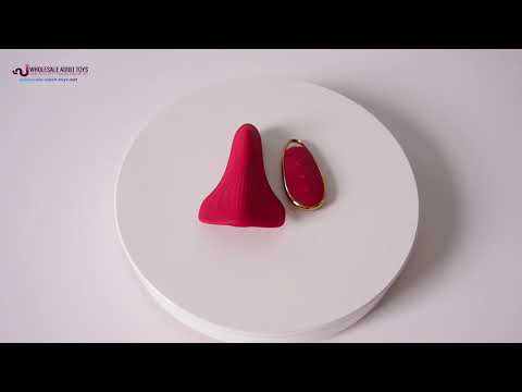 Customizable  9 Vibrating Modes Red Rechargeable Silicone Remote Control Panty Vibrator