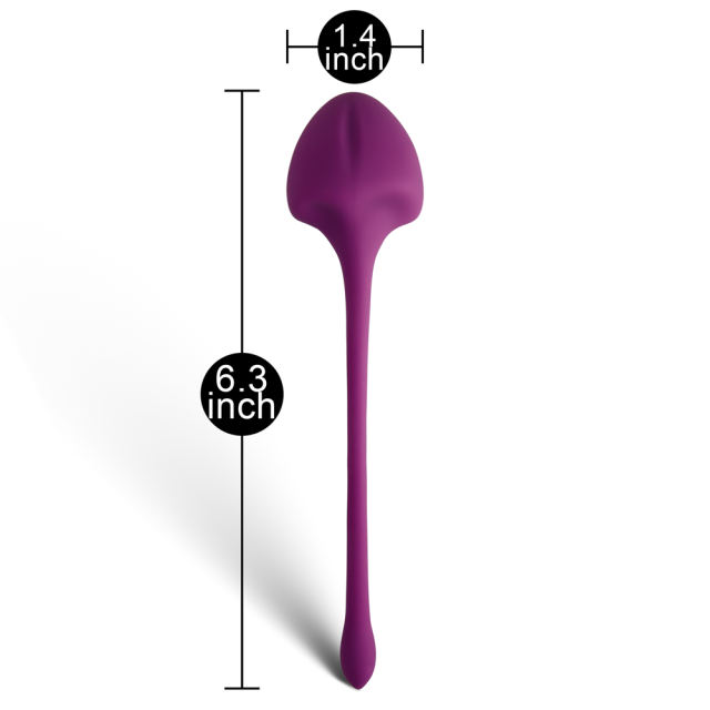 Customizable   5-Piece Medical Silicone Ben Wa Balls Set – Kegel Training Pelvic Exercise Balls