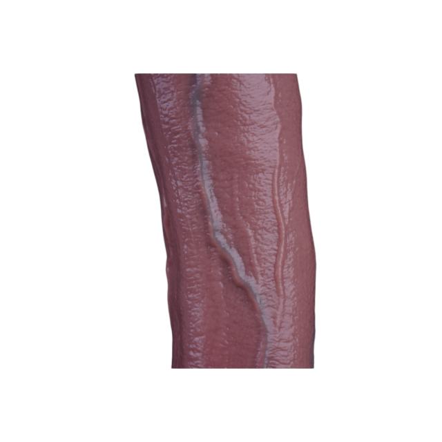 15" Ultra-Thick Silicone Dildo – Color Options Available (Flesh/Brown/Dark Coffee)