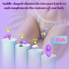Purple Rechargeable Wearable Panty Vibrator – 7 Vibrating Modes with Remote Control