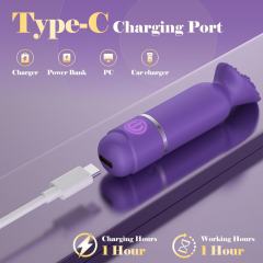 Rechargeable Clitoral Vibrator Kit with 5 Interchangeable Silicone Attachments – 10 Vibrating Modes