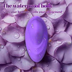 Purple Rechargeable Wearable Panty Vibrator – 7 Vibrating Modes with Remote Control