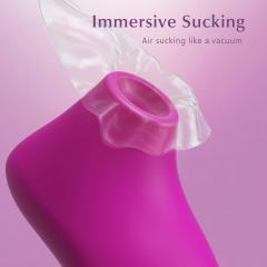 Purple Rechargeable Waterproof Silicone Clitoral Suction Massager – 10 Suction Modes