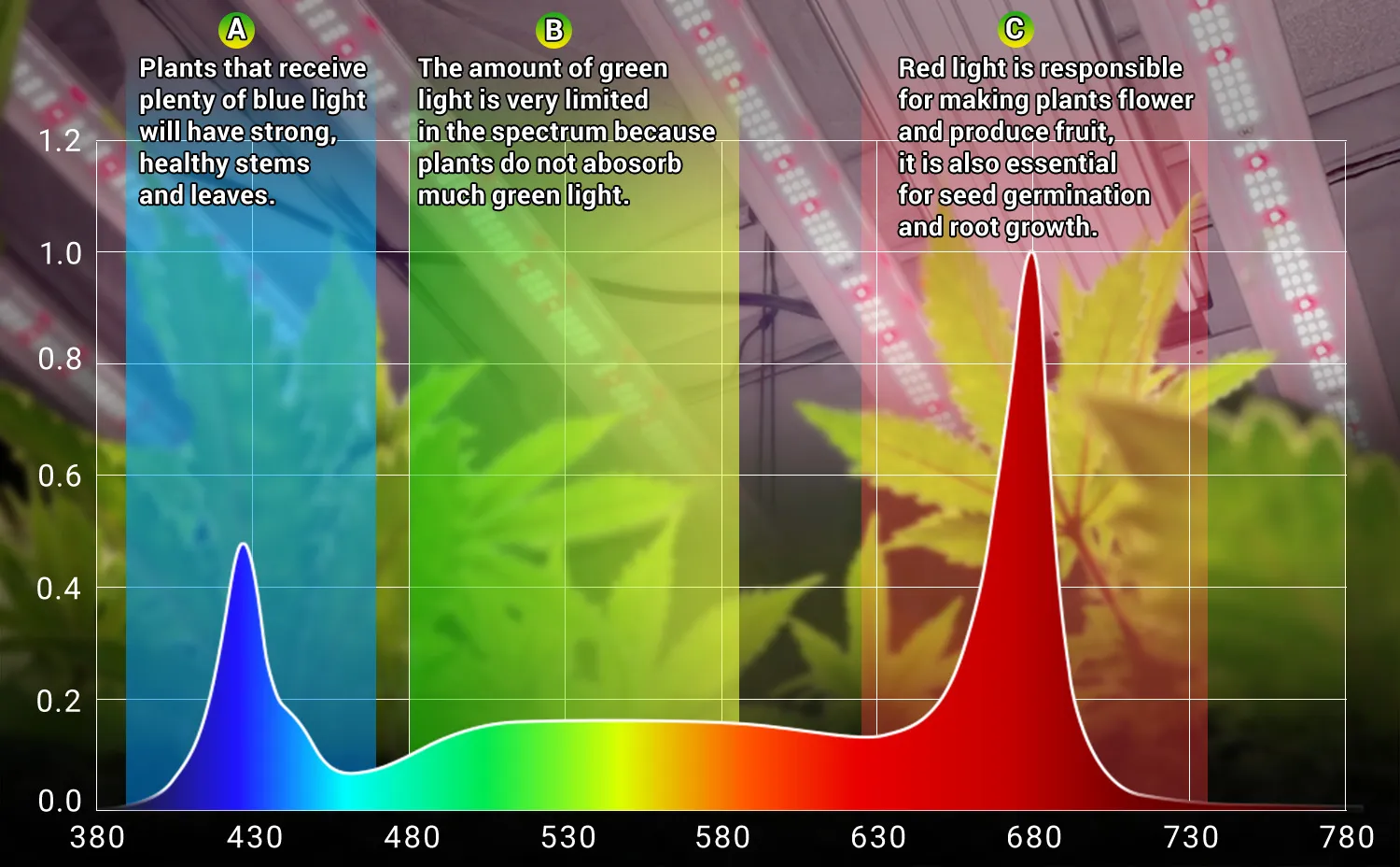 grow light full spectrum