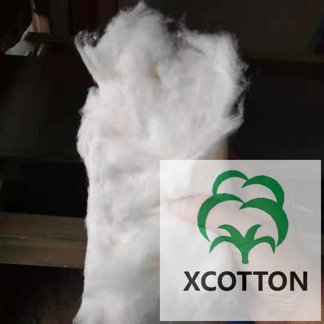 Air Flow Type Lint Cleaner