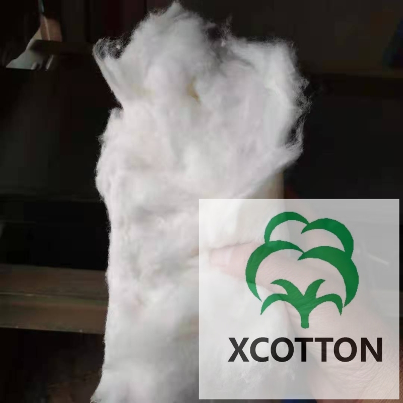 Air Flow Type Lint Cleaner