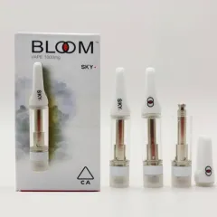 Bloom