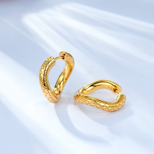 Fashion Irregular Hoop Earring