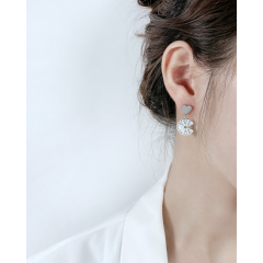 Stylish Crystal Earrings