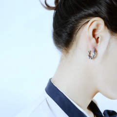 Stylish Artificial Earring Jewellery