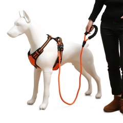 Inspired Walk Custom Reflective Rope Dog Leash Sets No Pull Dogs Vest Harness Set And Leashes