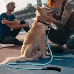 Heavy Duty Braided Long Dogs Manufacturer Designer Nylon Custom Leashes Rope Pet Dog Leash