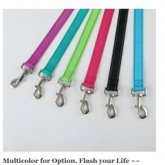 New Reflective Nylon Custom Training Luxury Designer Dog Leash