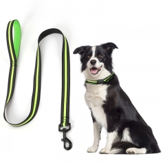Personalized Luxury Pet Dog Collars And Leash Set Nylon Reflective Air Mesh Training Dog Collar Set
