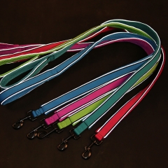 Customized Reflective Padding Air Mesh Dog Lead Pet Leashes for Dogs