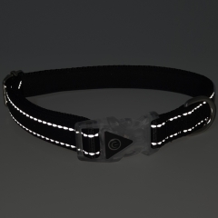 Neoprene Padded LED Electroluminescent Glowing Gleamy Buckle Custom Reflective Nylon Dog Pet Collar