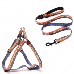 Private Label Designer Dog Adjustable Harness And Lead Spring Training Leash Set