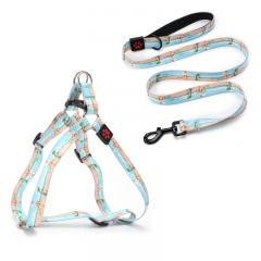 Private Label Designer Dog Adjustable Harness And Lead Spring Training Leash Set