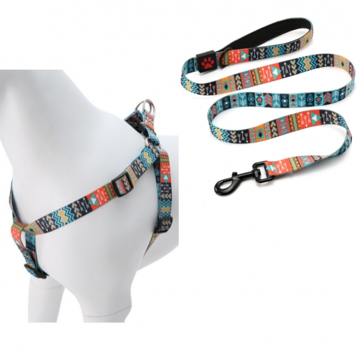 Private Label Designer Dog Adjustable Harness And Lead Spring Training Leash Set