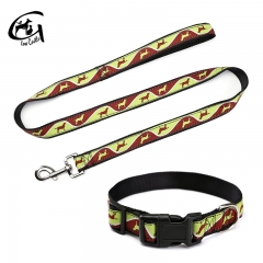 Training Custom Colorful Nylon Fancy Pet Dog Collars And Leashes Pattern Collar Leash Set