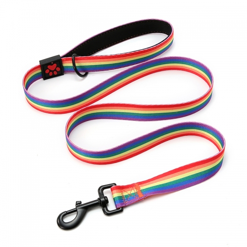 Neoprene Handle Dog Leash Training Custom Designer Heat Transfer Rainbow Colorful Show Leashes