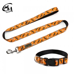 Hallowmas Puckish Colorful Nylon Designer Pet Pattern Dog Collars And Leashes Collar Leash Set